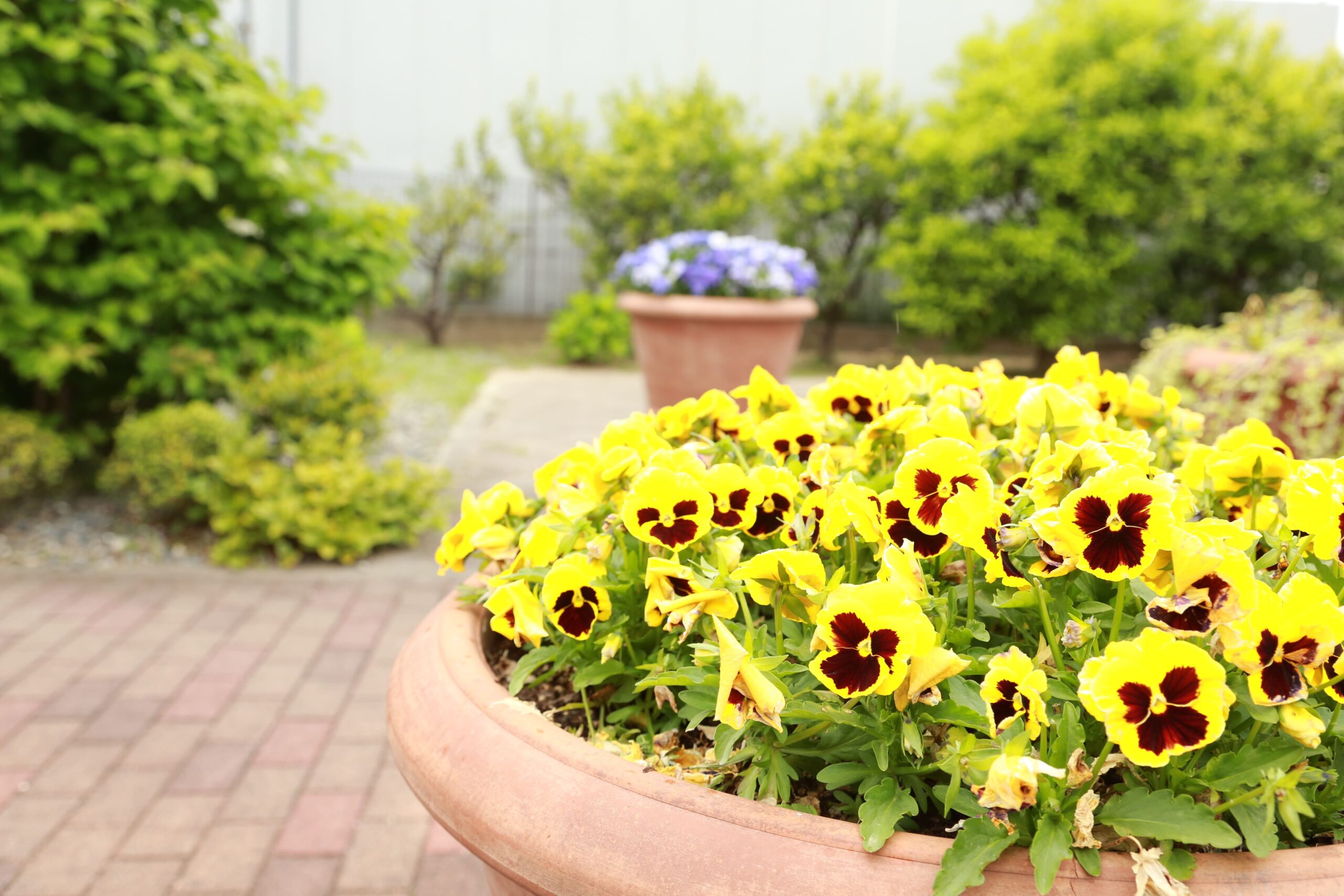 庭園は緑に囲まれた穏やかな空間です。