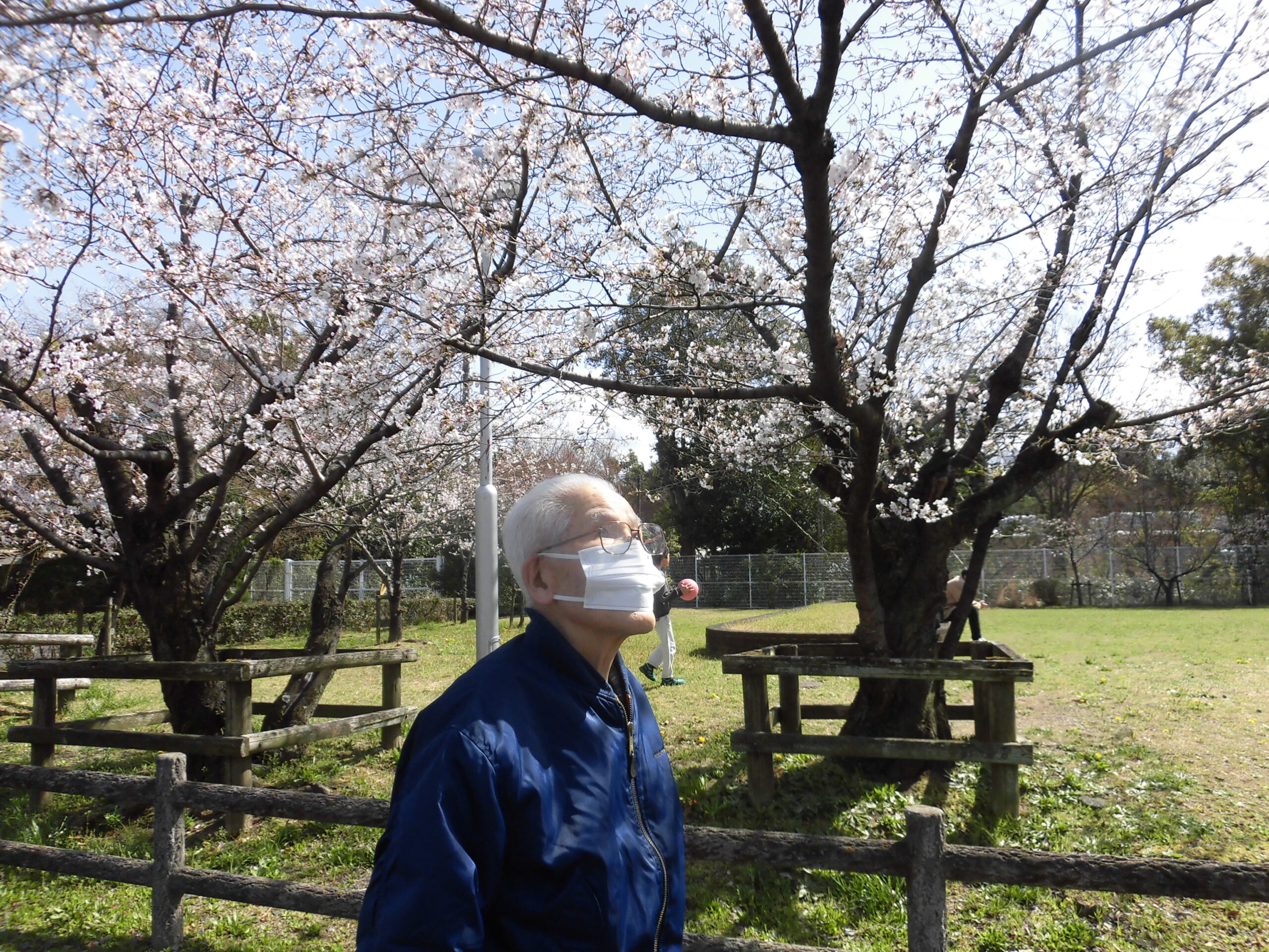 【GH笑顔の泉】お花見
